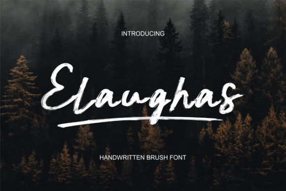 Elaughas: A Bold Modern Display Font for Digital Branding