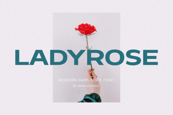 Ladyrose: A Modern Sans Serif for Thoughtful Editorial Design